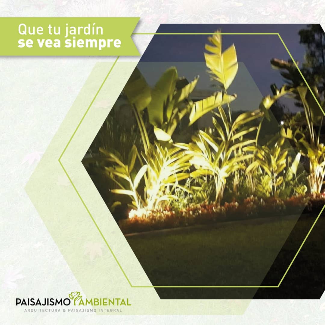 Diseño integral