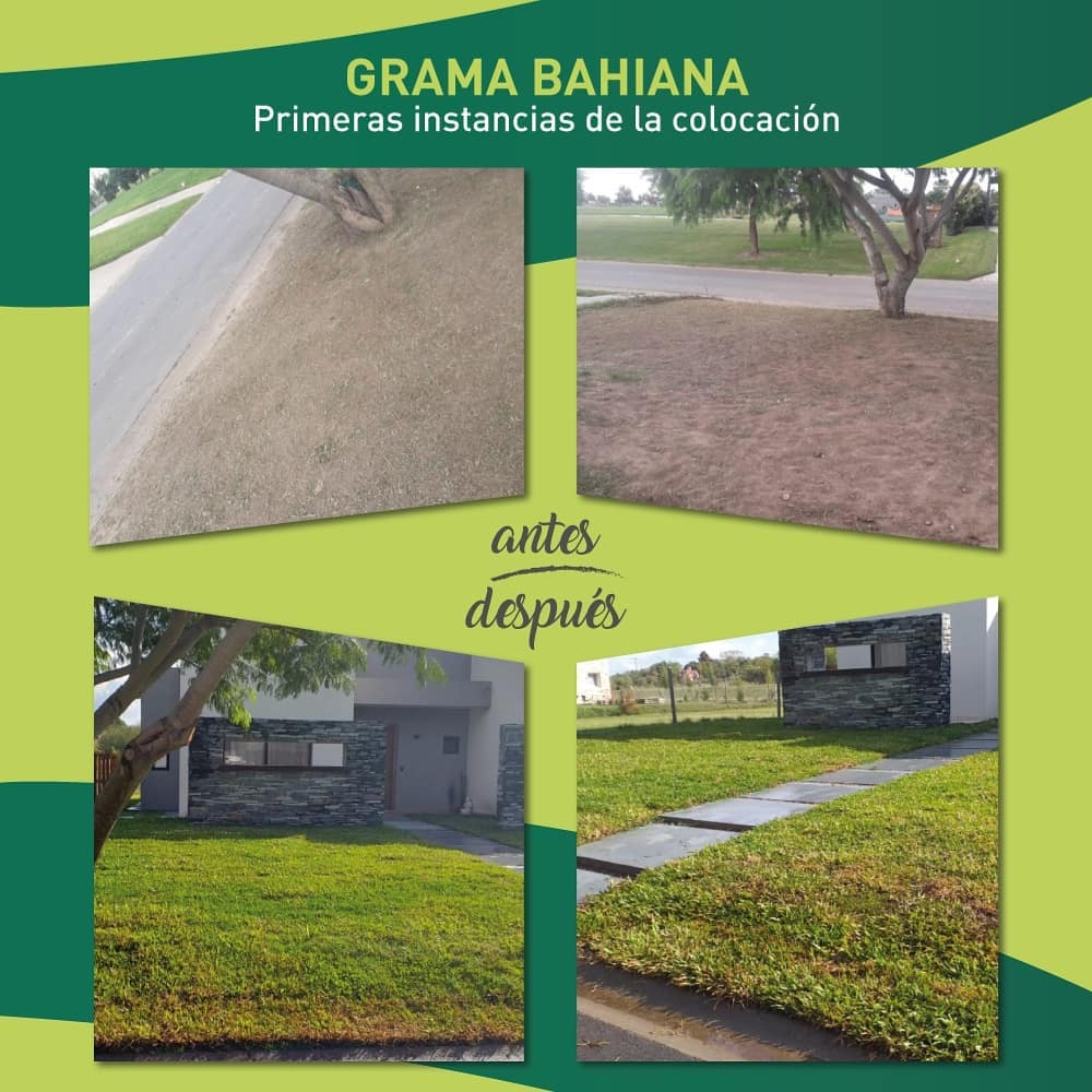 Paisajismo ambiental
