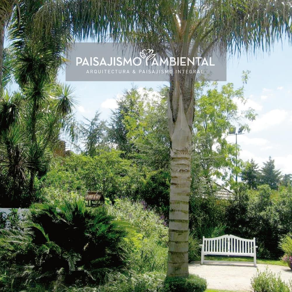 Proyecto de paisajismo ambiental
